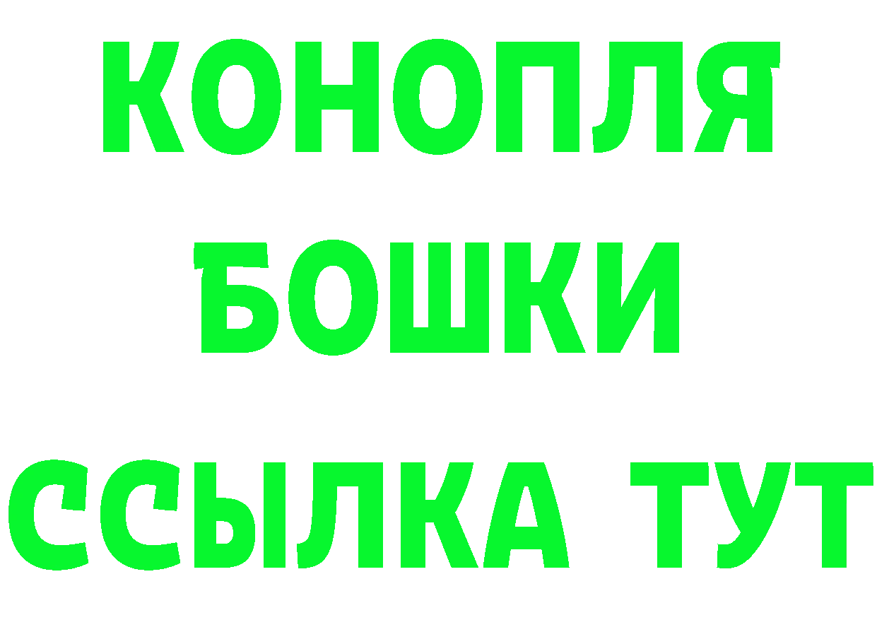 Бошки Шишки ГИДРОПОН вход площадка MEGA Белокуриха