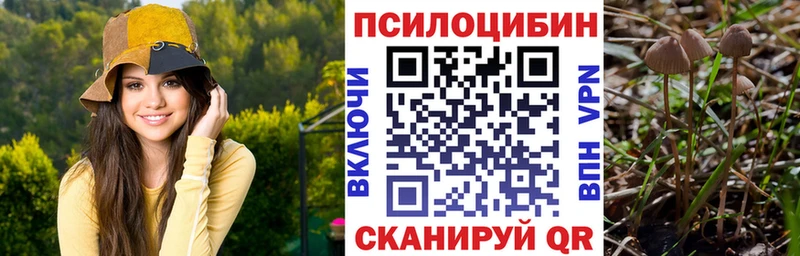 omg зеркало  Белокуриха  Псилоцибиновые грибы GOLDEN TEACHER  цены  